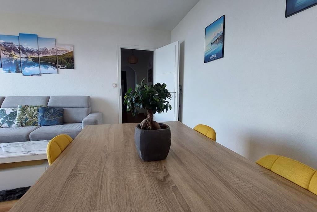 Appart Cosy Avec Vue Sur Le Lac Leman เอวิยงเลบานส์ ภายนอก รูปภาพ