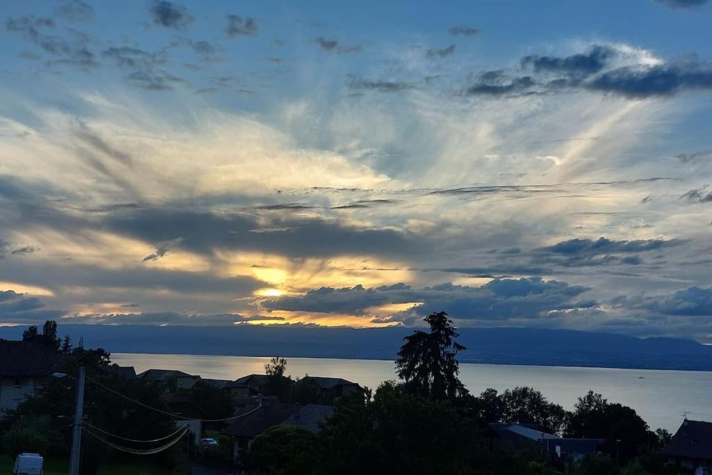 Appart Cosy Avec Vue Sur Le Lac Leman เอวิยงเลบานส์ ภายนอก รูปภาพ