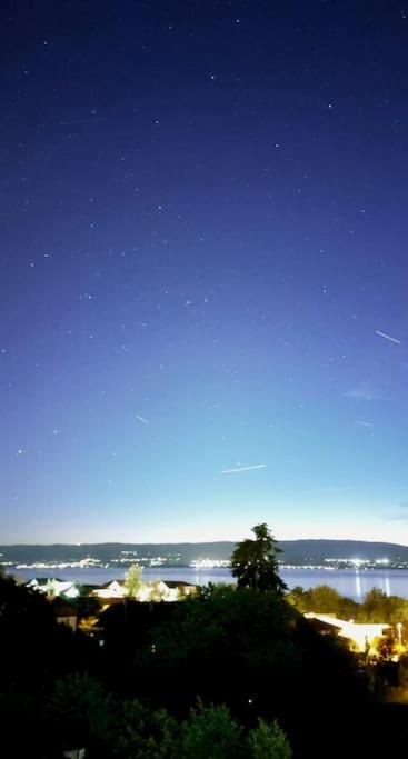 Appart Cosy Avec Vue Sur Le Lac Leman เอวิยงเลบานส์ ภายนอก รูปภาพ