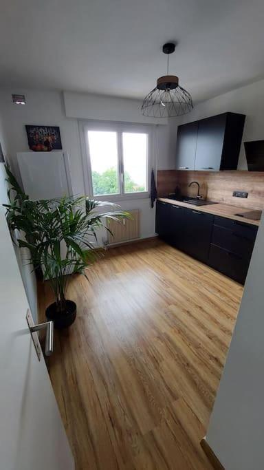 Appart Cosy Avec Vue Sur Le Lac Leman เอวิยงเลบานส์ ภายนอก รูปภาพ